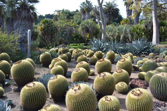 2013_03_3-23-2013 PM 03-25-53