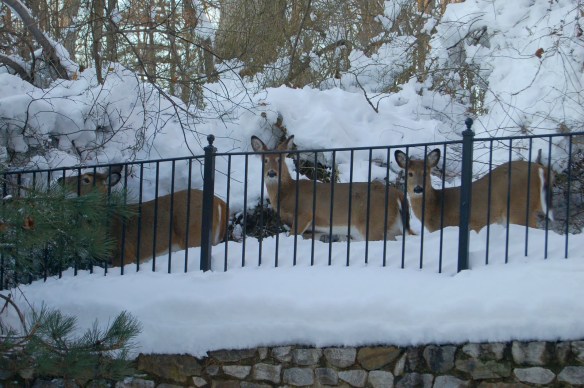 DSC_2124-8-1_edited-1