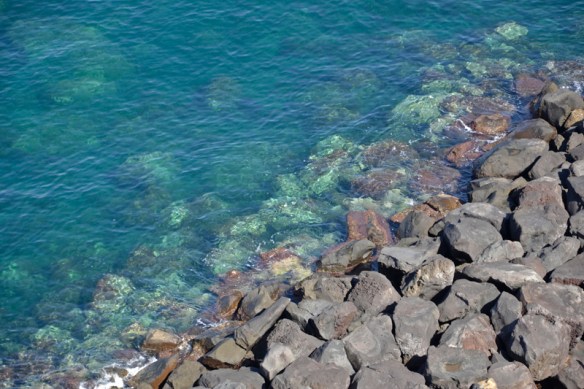 Web-Half&Half_DSC0046