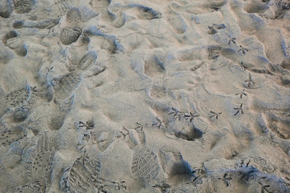 FootPrintsOnSand-DSC_6757