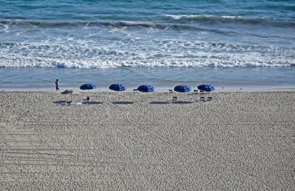 StaMonicaBeach_DSC0174