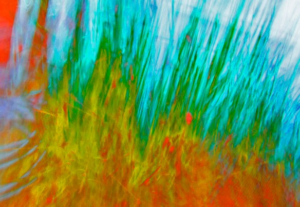 AbstractNature_DSC0276