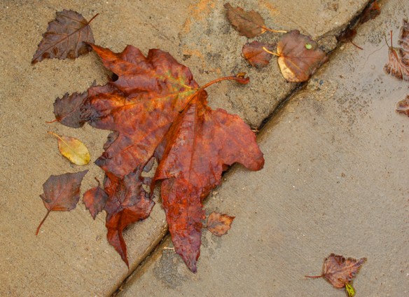 Monochromatic-DSC_4487