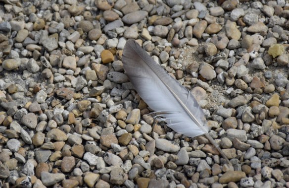 Monochromatic_DSC0817