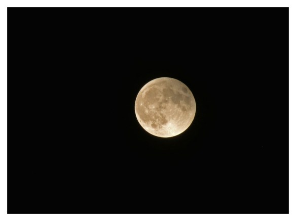 Web-DSC_9837_edited-2