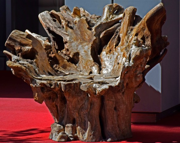 Organic_DSC0557_edited-1