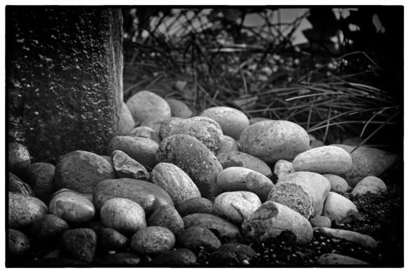 WaterWeb-DSC_0469_edited-1