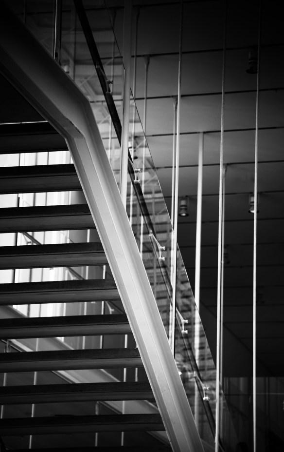Lines-BW-WebDSC_9188