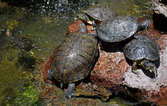 Gathering-Web_DSC0011