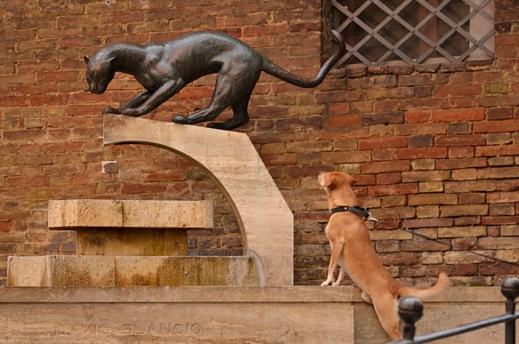 ArtImitatesLife_DSC0622-1