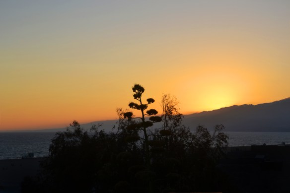 SunsetAugustWeb-DSC_0280