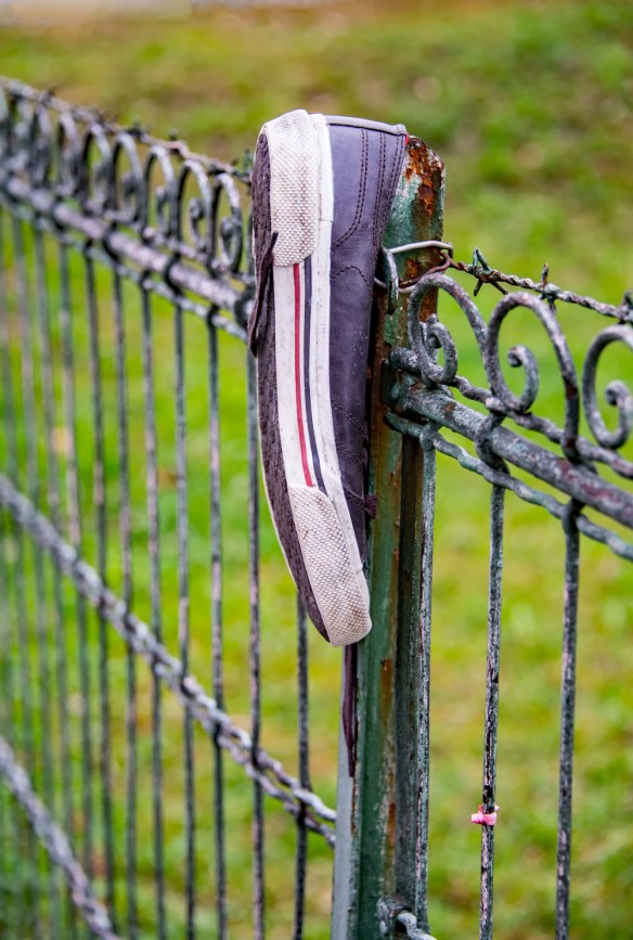 Abandoned-Web-DSC_5234