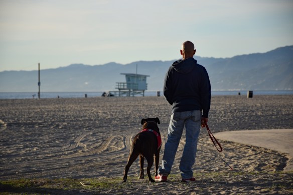 Partners-Web-DSC_0203