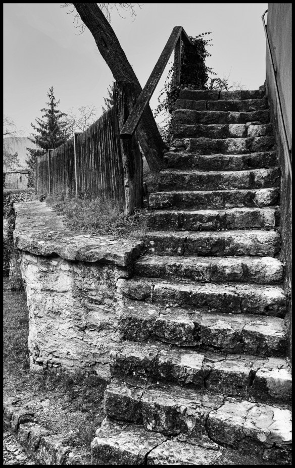 Steps-B&W-Web-DSC_5783