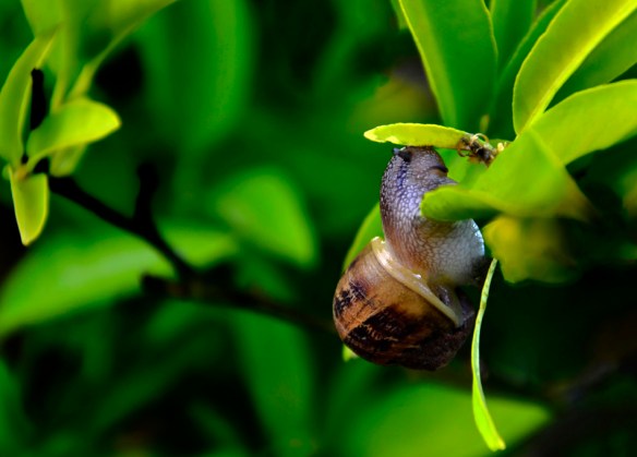 Details2-Web_DSC0161