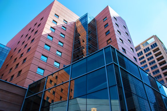 LookUp-Web_DSC0788_edited-1