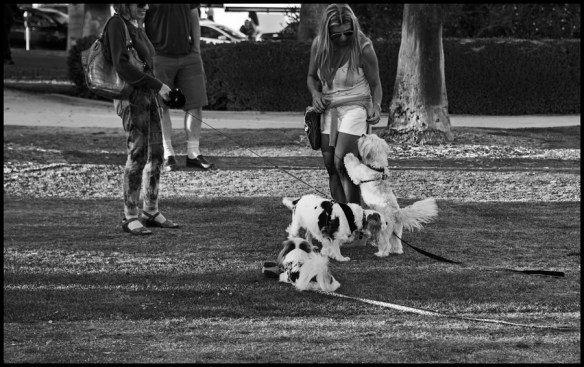 StaMon_B&W-Web-DSC_7182