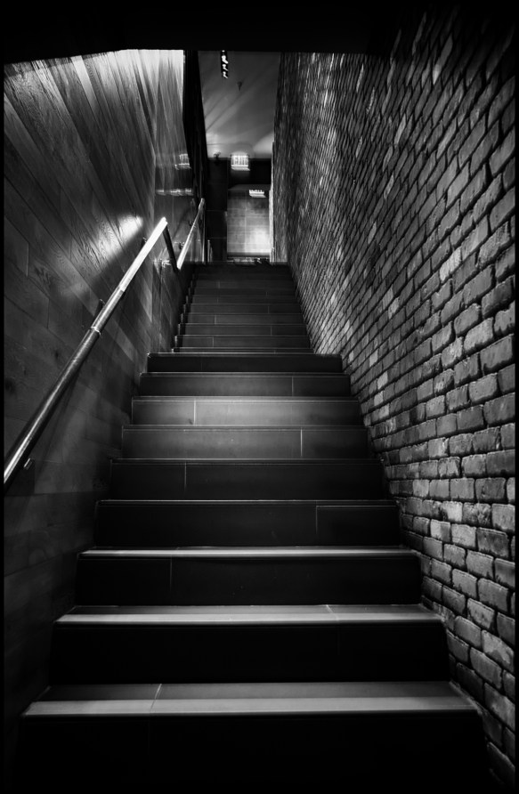 escada2-web-dsc_0158