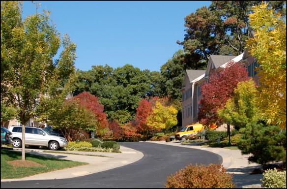 fallpotomac_10_007_edited-1