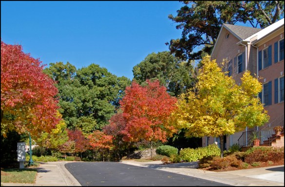 fallpotomacweb_10_003