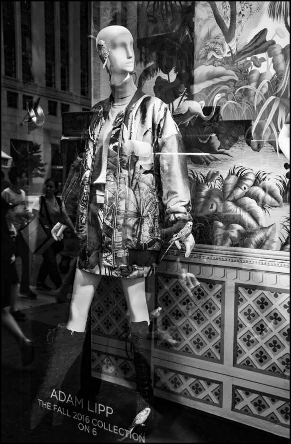 window-bw-web-dsc_0214