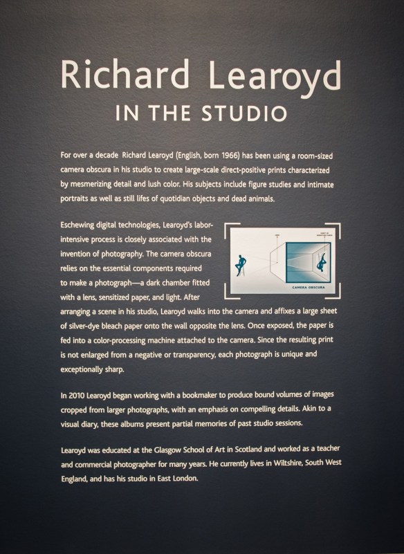 learoyd-web-dsc_7678