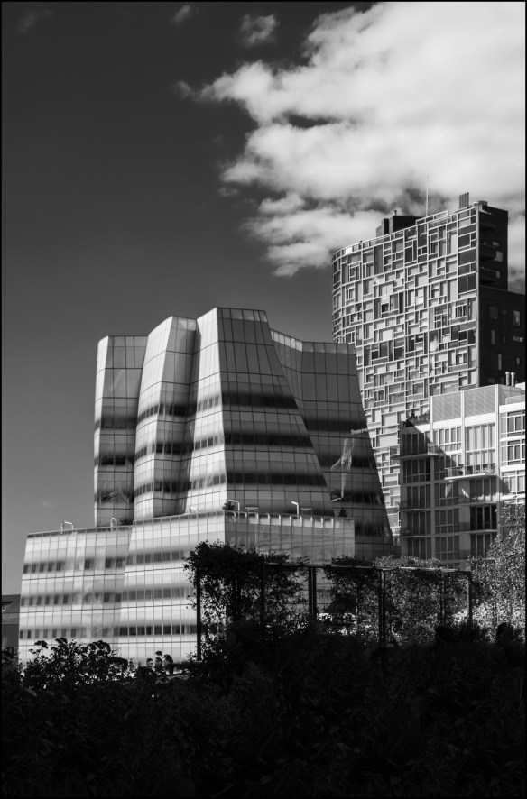 oddshaped-web-dsc_0568